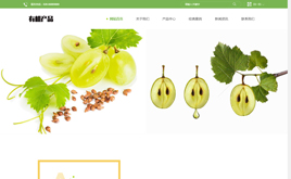 ģ-푑ʽGɫaƷ˾Wվģ[m]