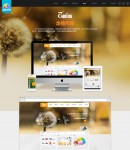 案例內(nèi)容頁(yè)