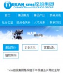 手機版集團概況