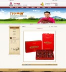 產(chǎn)品詳情頁