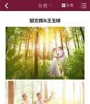 案例詳情頁(wap)