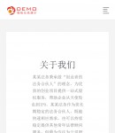 手機端-關于我們