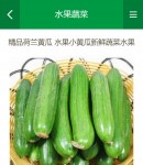 手機產品詳情頁