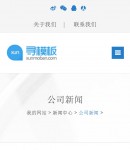 手機新聞內容頁