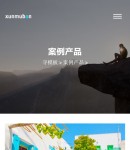 手機(jī)案例產(chǎn)品