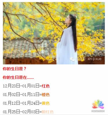 樂推微網站評測