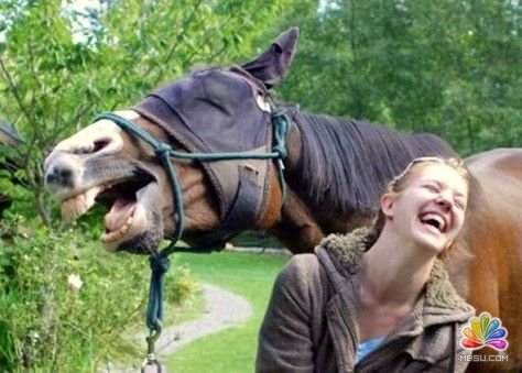 【站長圖卦】起床上班了 站長故事 第11張