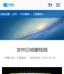 手機案例內容頁