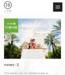 手機(jī)新聞內(nèi)容頁