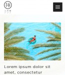 手機(jī)純文本頁面