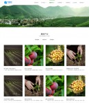 集團產(chǎn)業(yè)