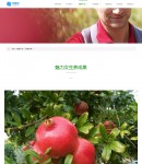 產(chǎn)業(yè)詳情