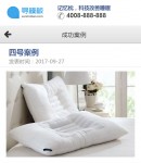 手機案例內(nèi)容頁