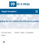 手機新聞內容頁