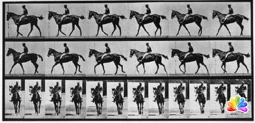 Flash基礎(chǔ)教程 動(dòng)畫基礎(chǔ)知識(shí) 模板無憂