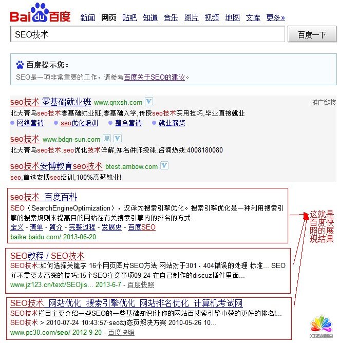 搜索SEO技術,截圖百度快照的展現(xiàn)結果頁