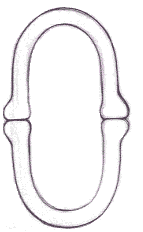 Flash教程:卡通人物基本五官造型和繪制方法,PS教程,思緣教程網