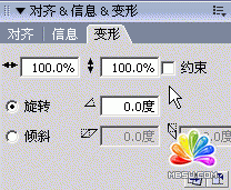 flash基礎教程之縮放、旋轉和傾斜對象